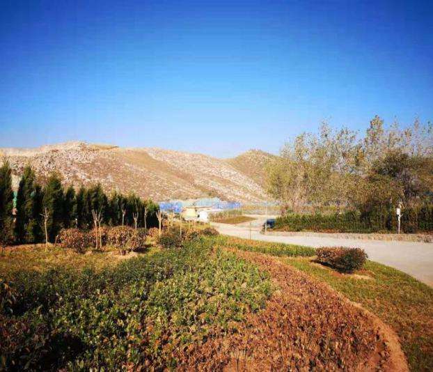 2020年度綠色礦山科學(xué)技術(shù)獎(jiǎng)開(kāi)始申報(bào)